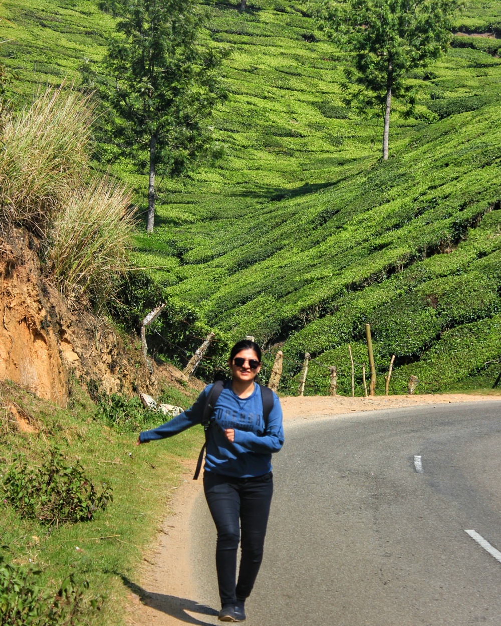 Travelling to munnar, kerala, gods own country kerala, kerala-india. Places to visit in Munnar, Kerala. Places to visit in Kerala, India. 